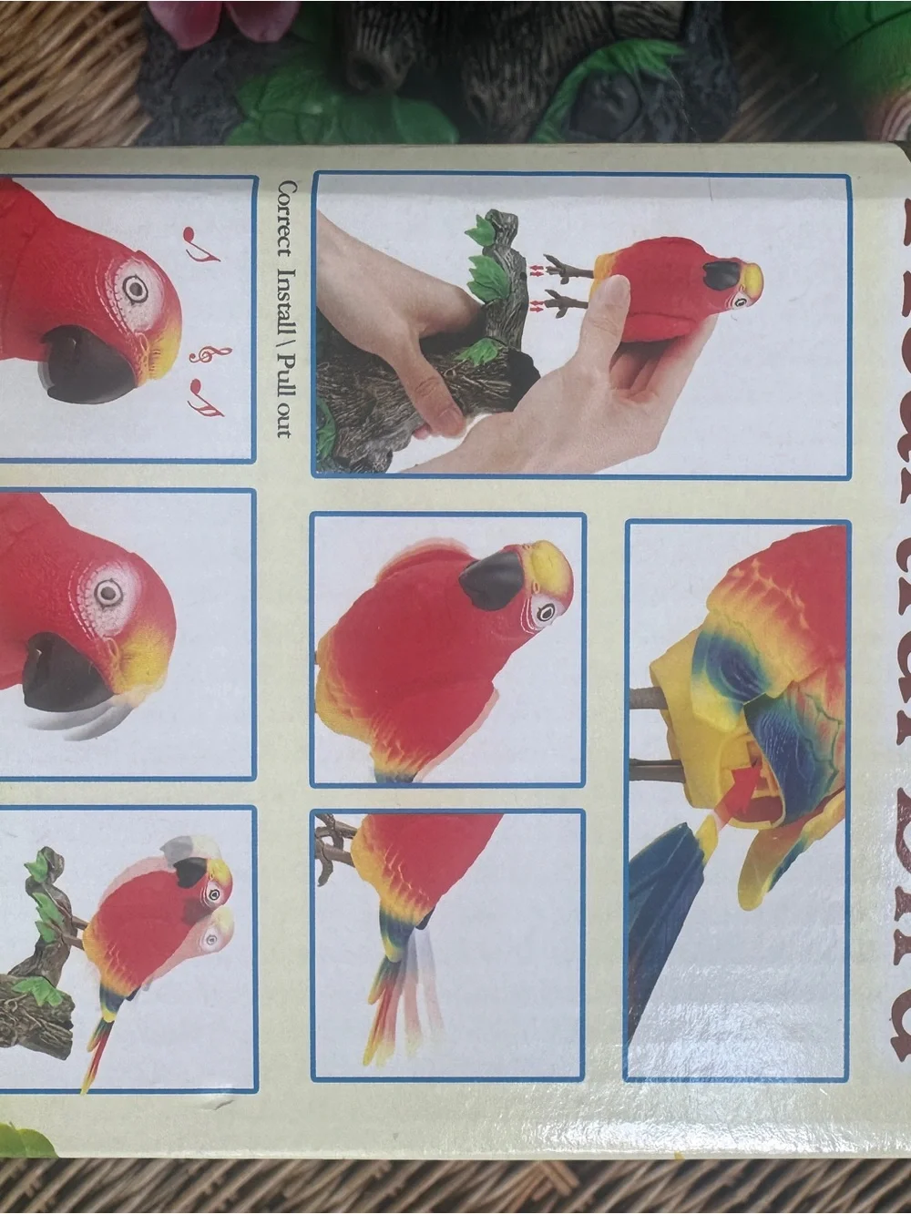 Talking Parrot Toy - Green